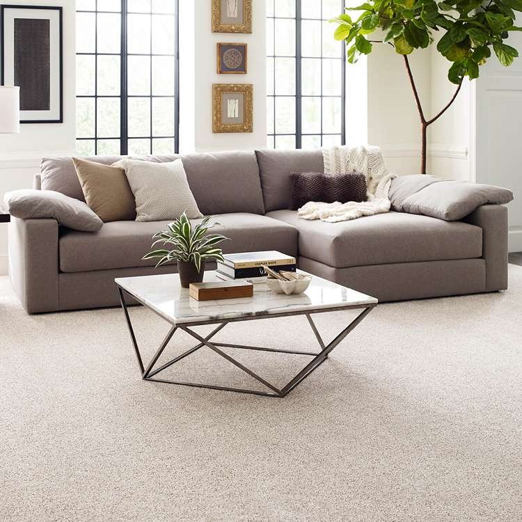 Best Living Room Carpet