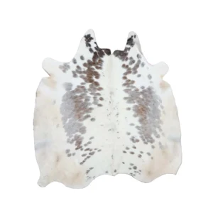 CH 005