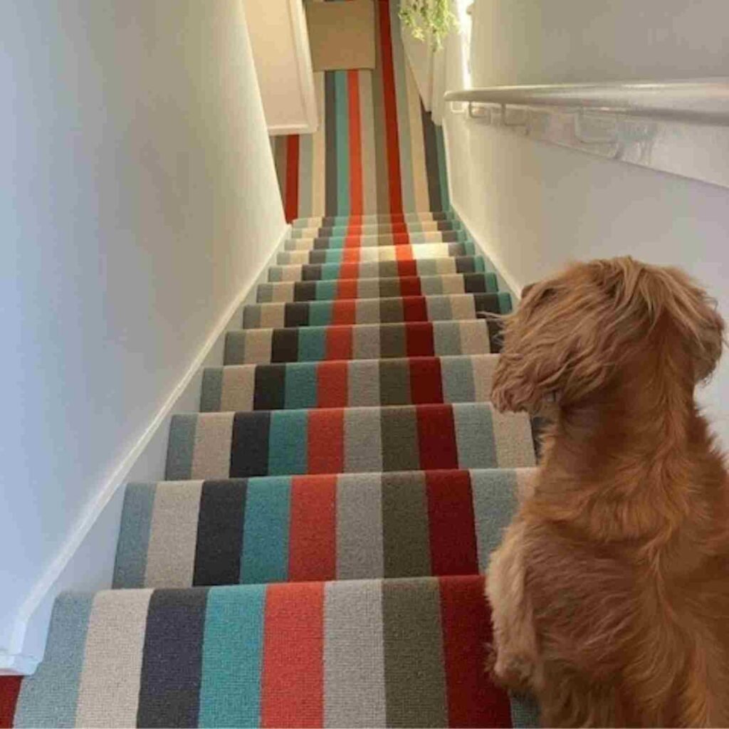 Stair Carpets Dubai