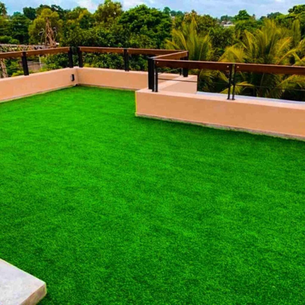 Grass Carpet