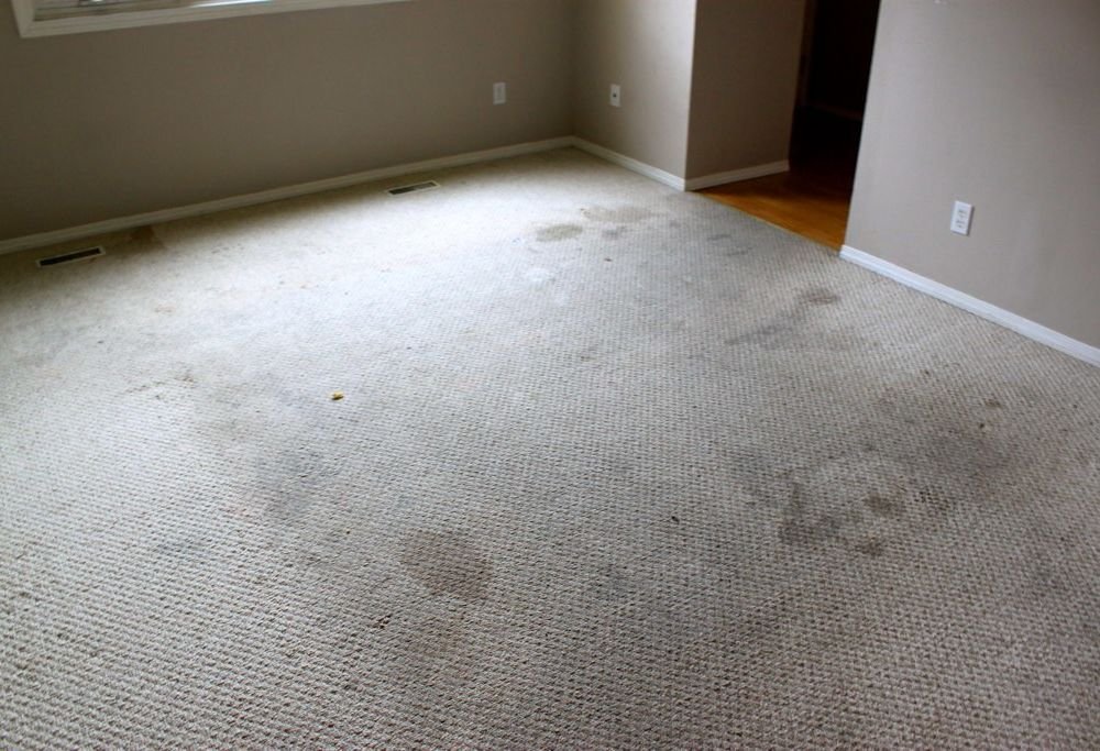 oil stain on sisal carpet