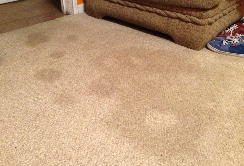 stain on sisal carpet