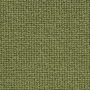 Green Carpets – Stylish & Durable