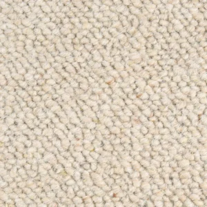 Oatmeal Beige Carpet