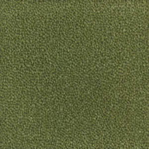 Olive Green – Green Carpets