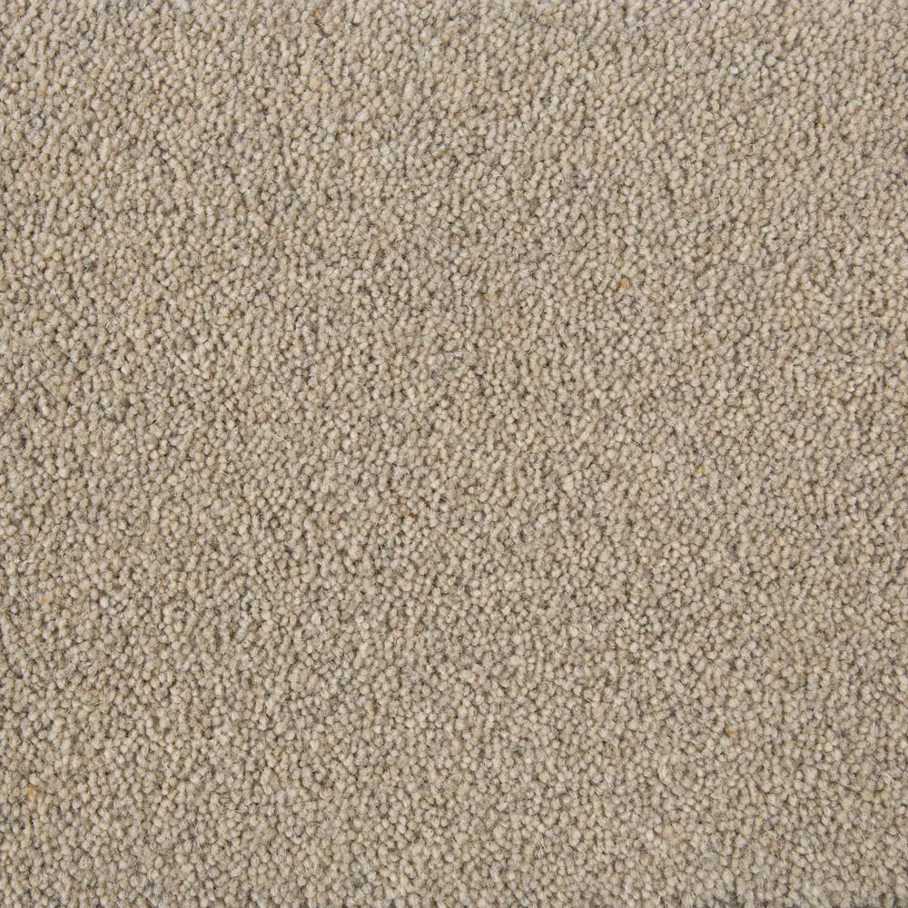 Sahara Beige Carpets