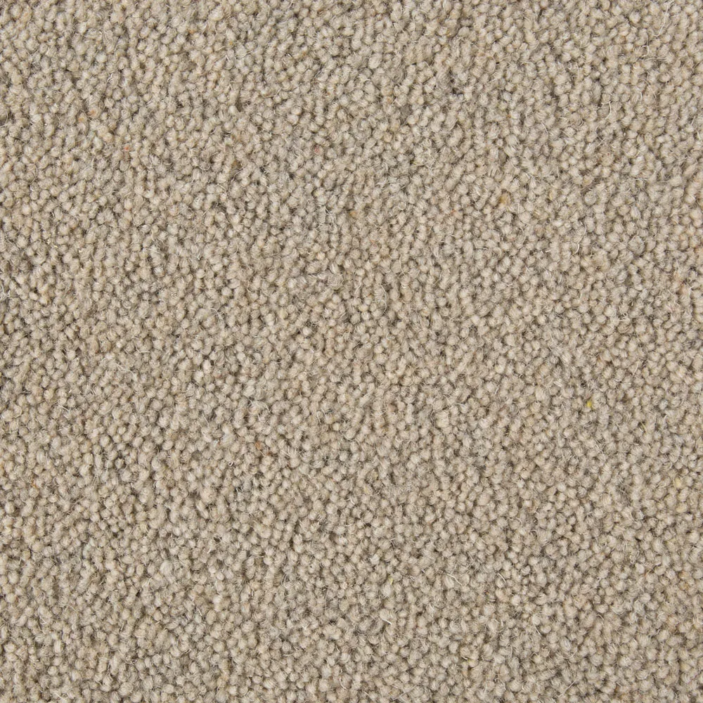 Sahara Beige Carpets