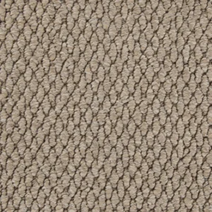 Sea Lion Beige Carpet
