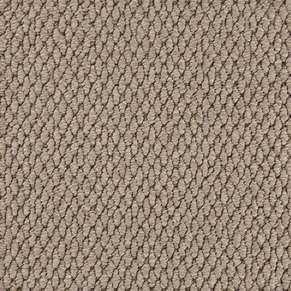 Sea Lion Beige Carpet