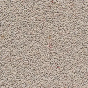 Silver Meadow Carpet