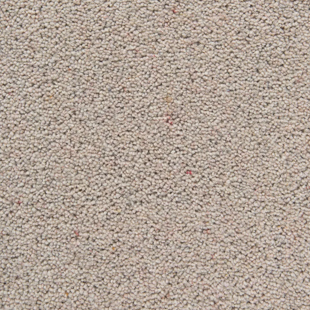 Silver Meadow Carpet